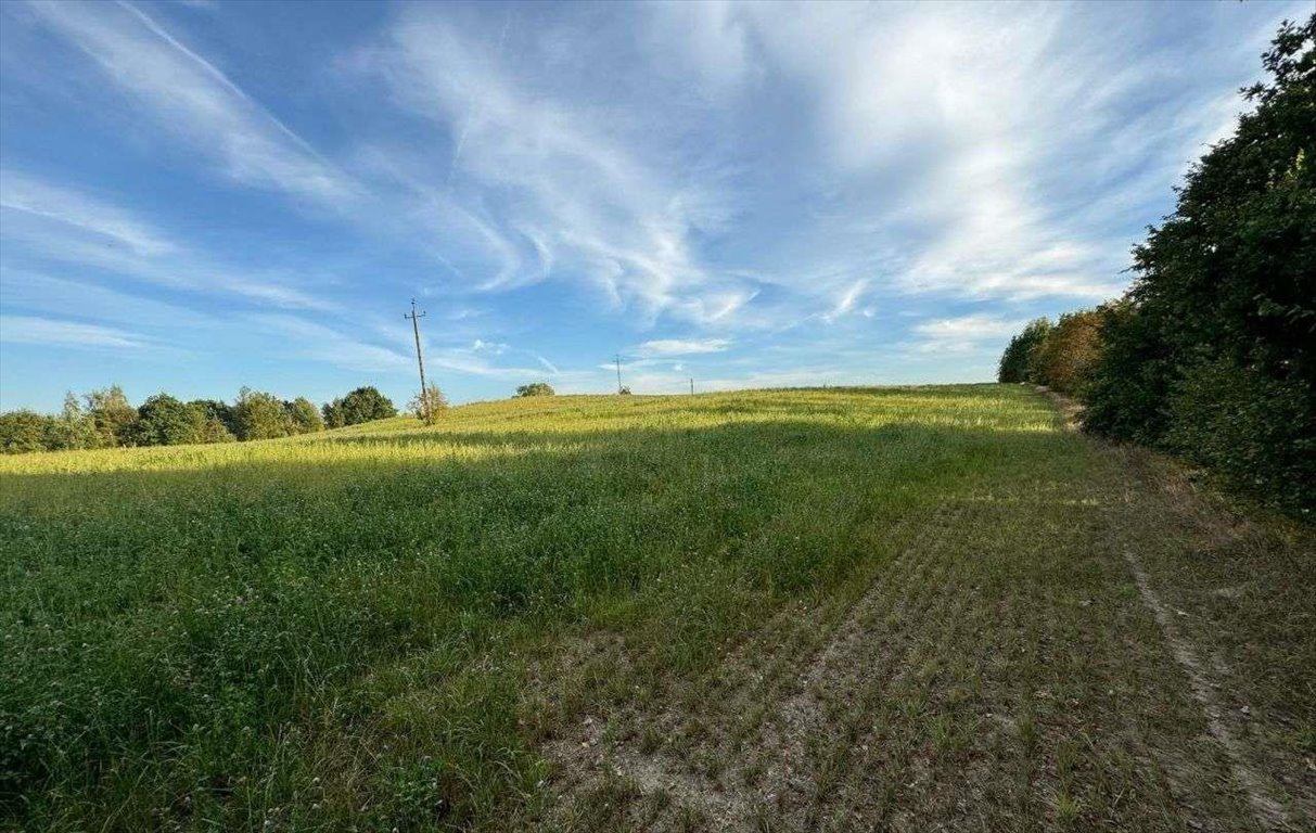 Działka budowlana na sprzedaż Chmielno  89 435m2 Foto 4