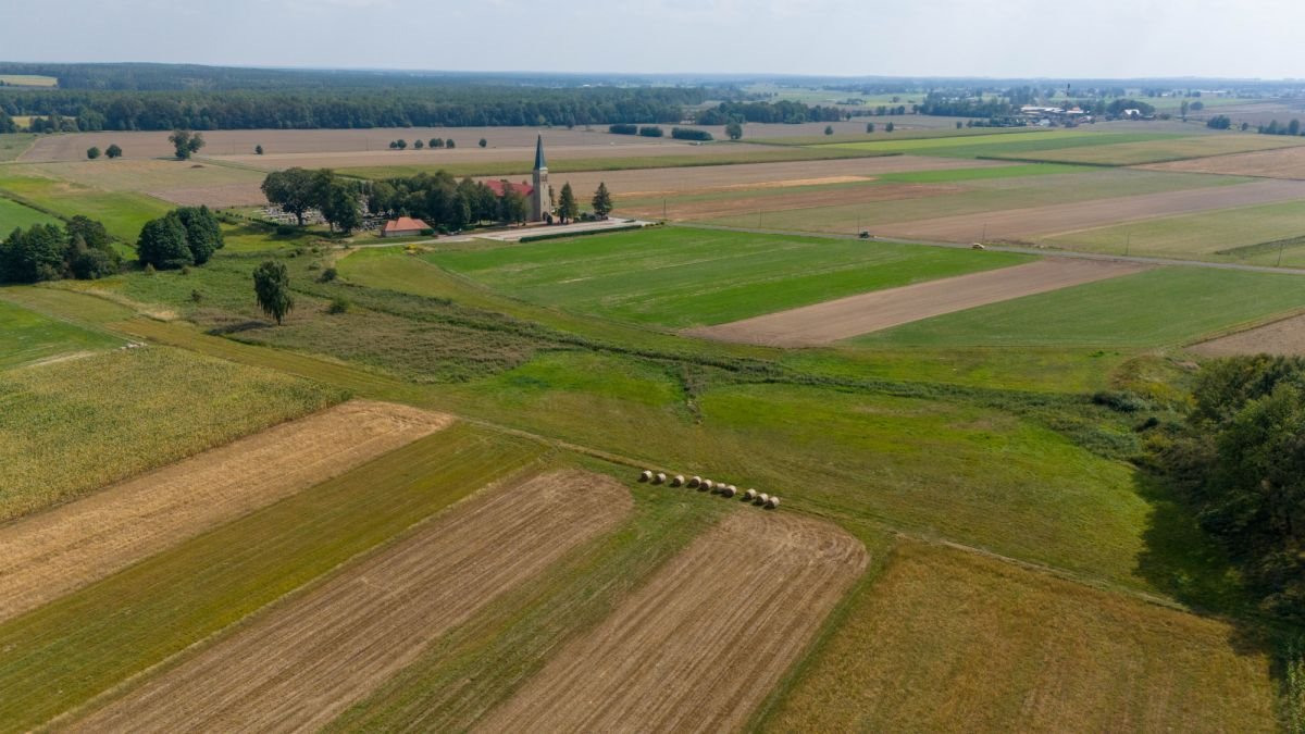 Działka rolna na sprzedaż Sieraków Śląski, Wyzwolenia  6 792m2 Foto 7