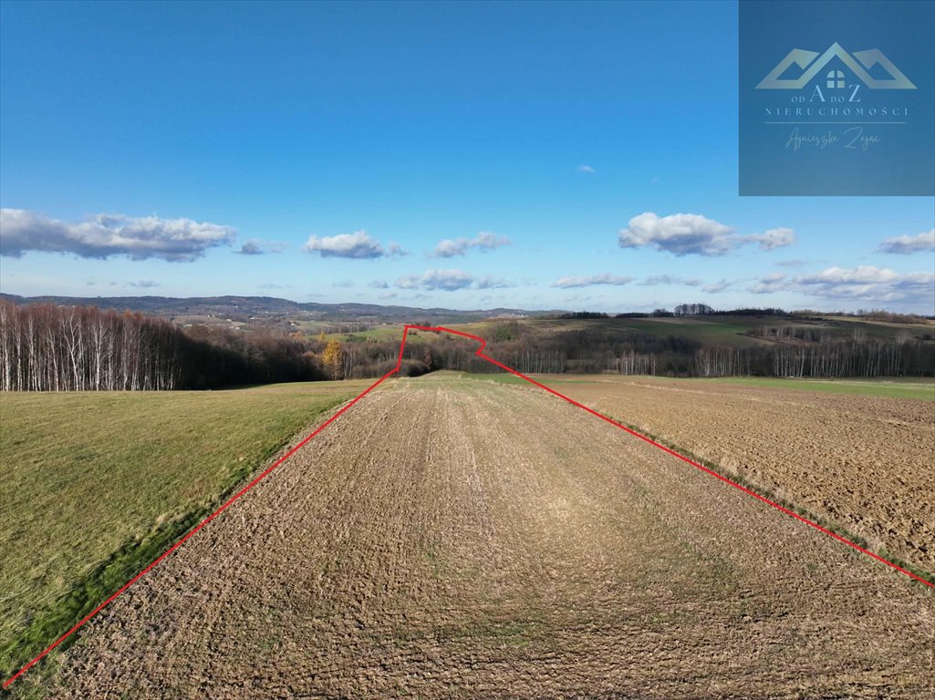 Przestronna działka 16 100 m2 z widokiem i lasem Ołpiny  16 100m2 Foto 1