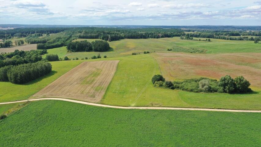 Działka budowlana na sprzedaż Orło  1 785m2 Foto 3