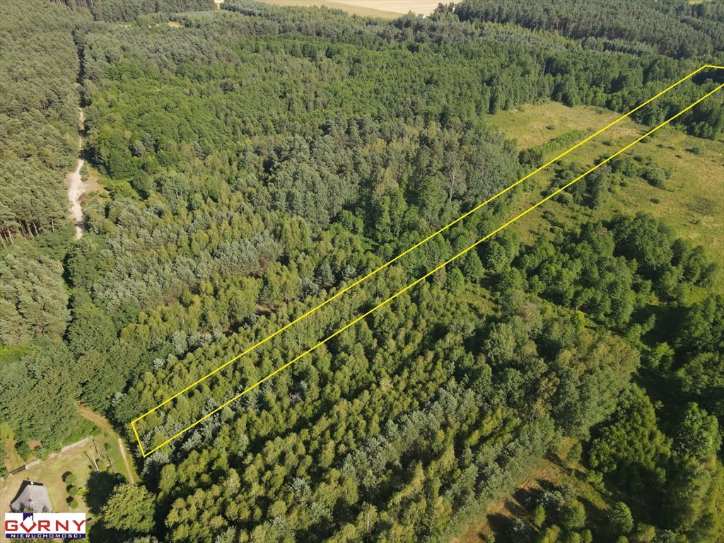 Działka inna na sprzedaż Stobnica-Piła  7 300m2 Foto 3