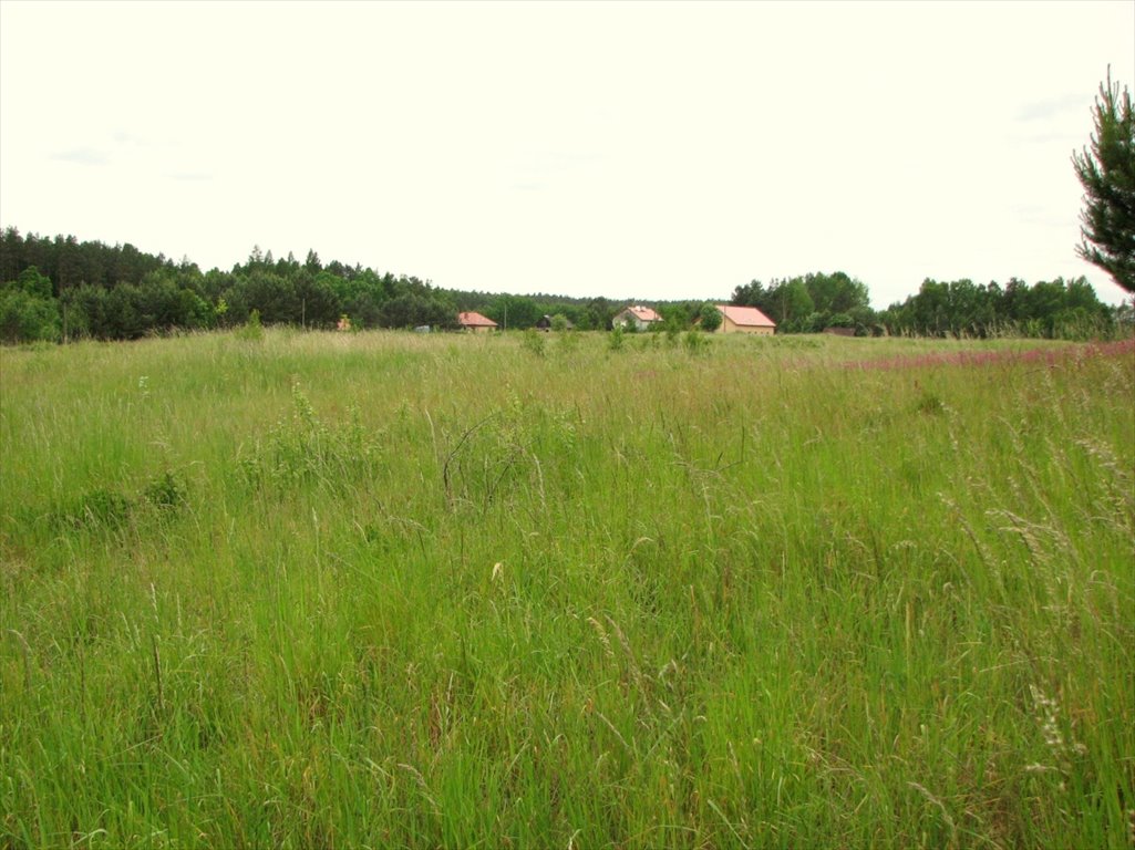 Działka budowlana na sprzedaż Barczewo, Łapka  1 936m2 Foto 5