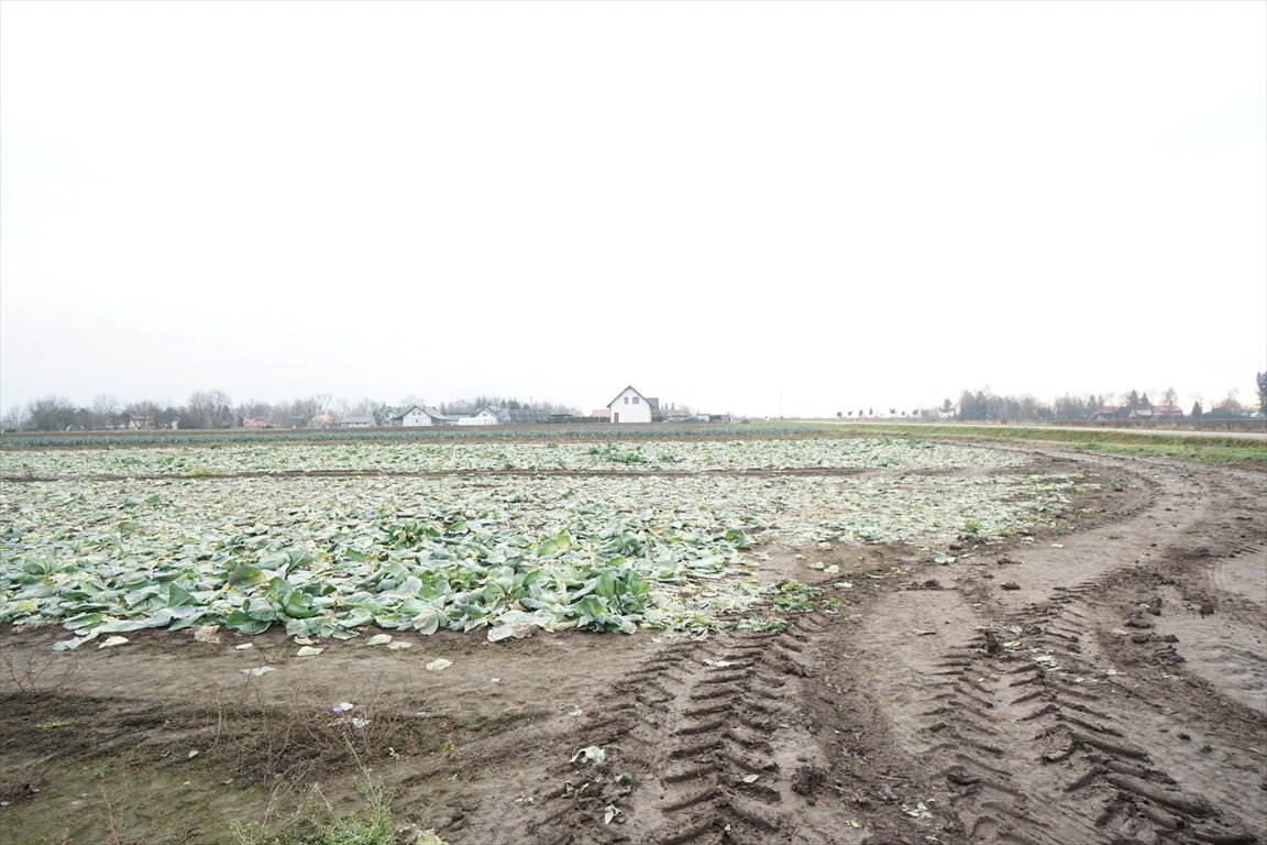 Zapraszam do obejrzenia działki 3240 m² z warunkami zabudowy Sośnica, Sośnica  3 240m2 Foto 1