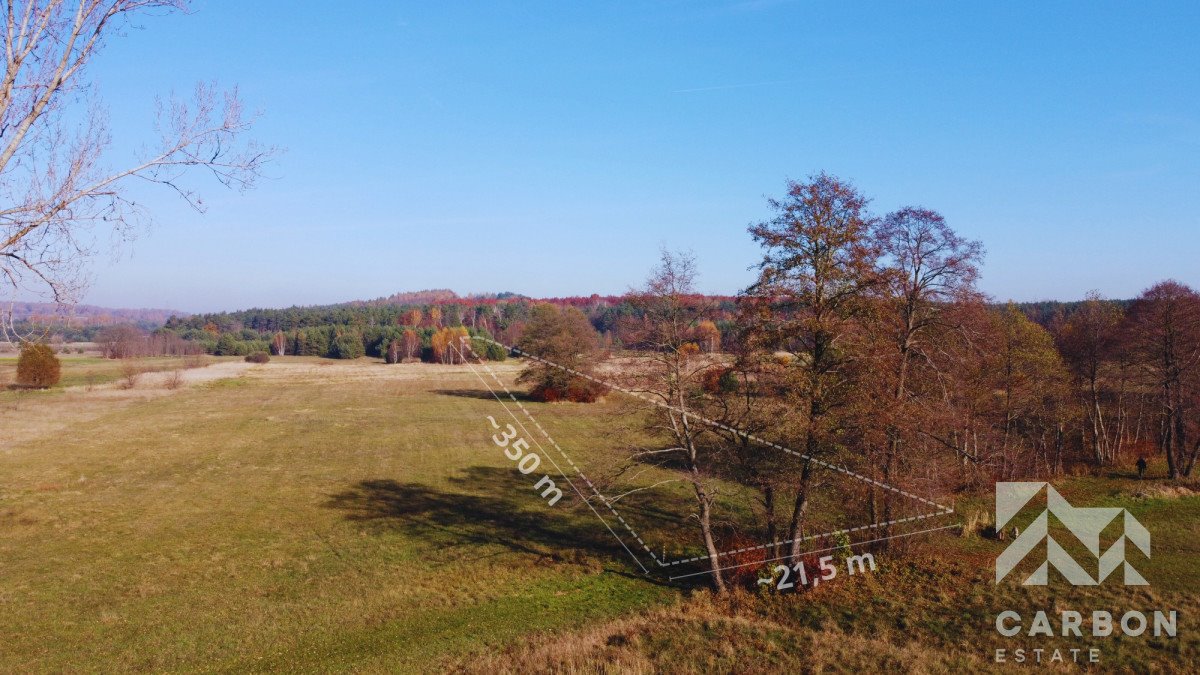 Działka gospodarstwo rolne na sprzedaż Wojkowice Kościelne  7 713m2 Foto 1