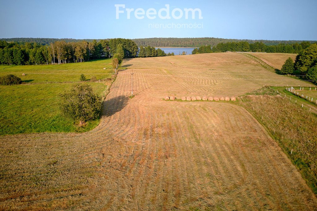 Działka budowlana na sprzedaż Lipowo  38 700m2 Foto 11