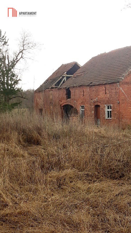 Działka siedliskowa na sprzedaż Gliszcz  4 900m2 Foto 4