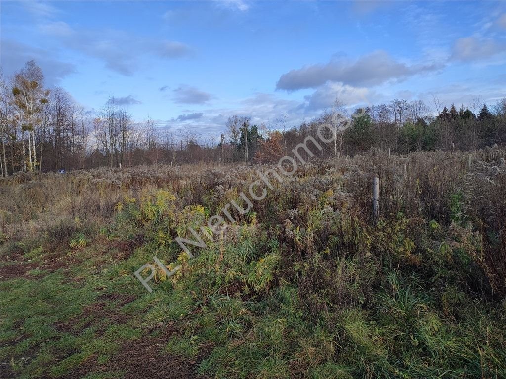 Działka budowlana na sprzedaż Żółwin  1 000m2 Foto 5