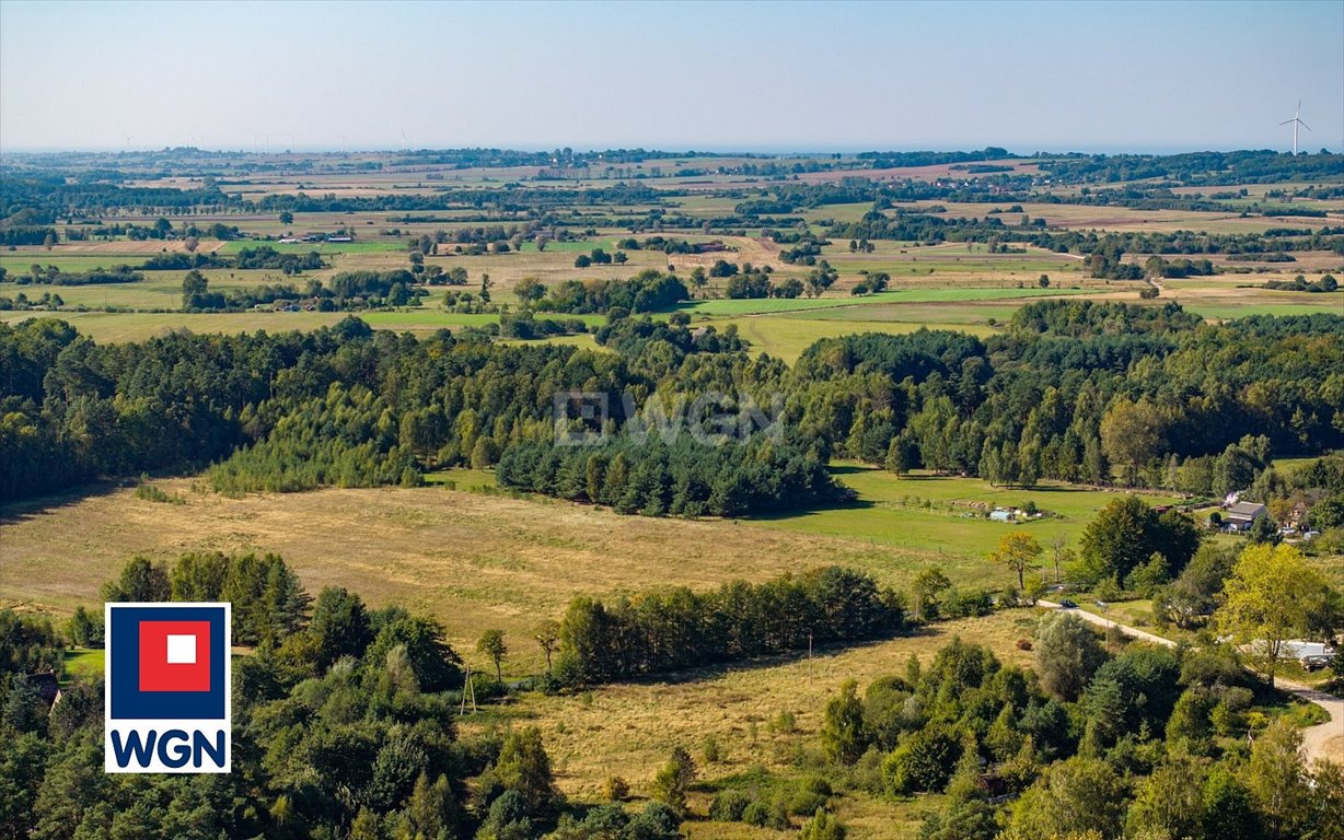 Działka siedliskowa na sprzedaż Kanin, Kanin  3 101m2 Foto 9