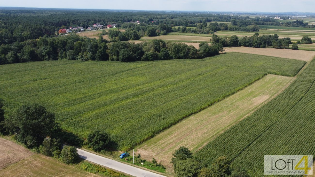 Działka budowlana na sprzedaż Borzęcin  4 400m2 Foto 1