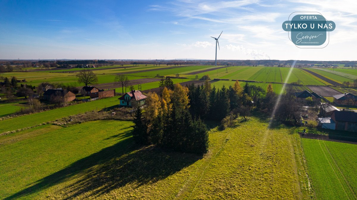 Działka budowlana na sprzedaż Anastazów  13 460m2 Foto 2