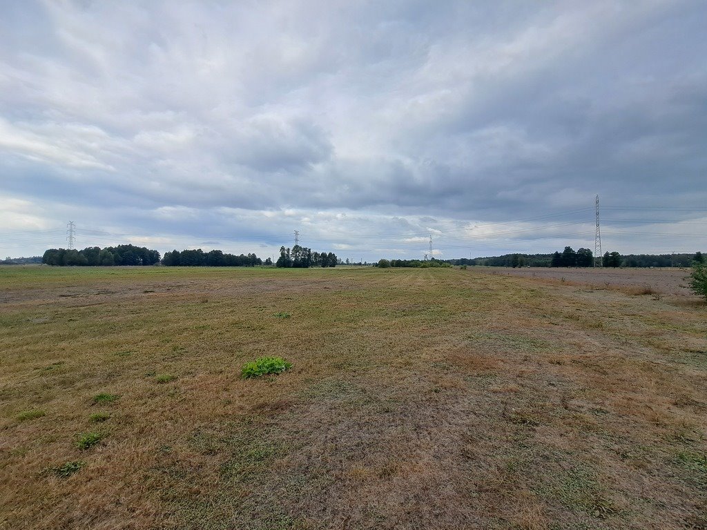 Działka rolna na sprzedaż Olszewka  43 000m2 Foto 8