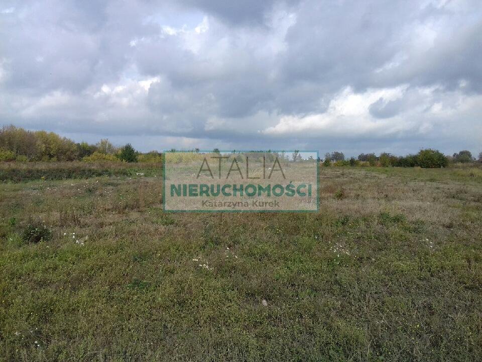 Sprzedam działkę 25 000 m² przy głównej drodze w zielonej okolicy Domaniew  25 000m2 Foto 1