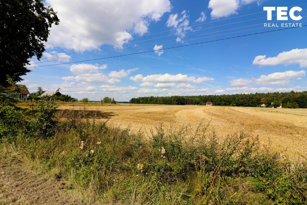 Działka 10 500 m² z mediami, lasem i dużym ogrodem Nagłowice  10 500m2 Foto 1