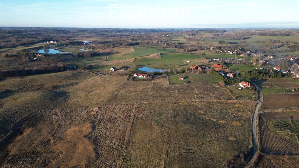 Działka budowlana na sprzedaż Skolity  3 538m2 Foto 4