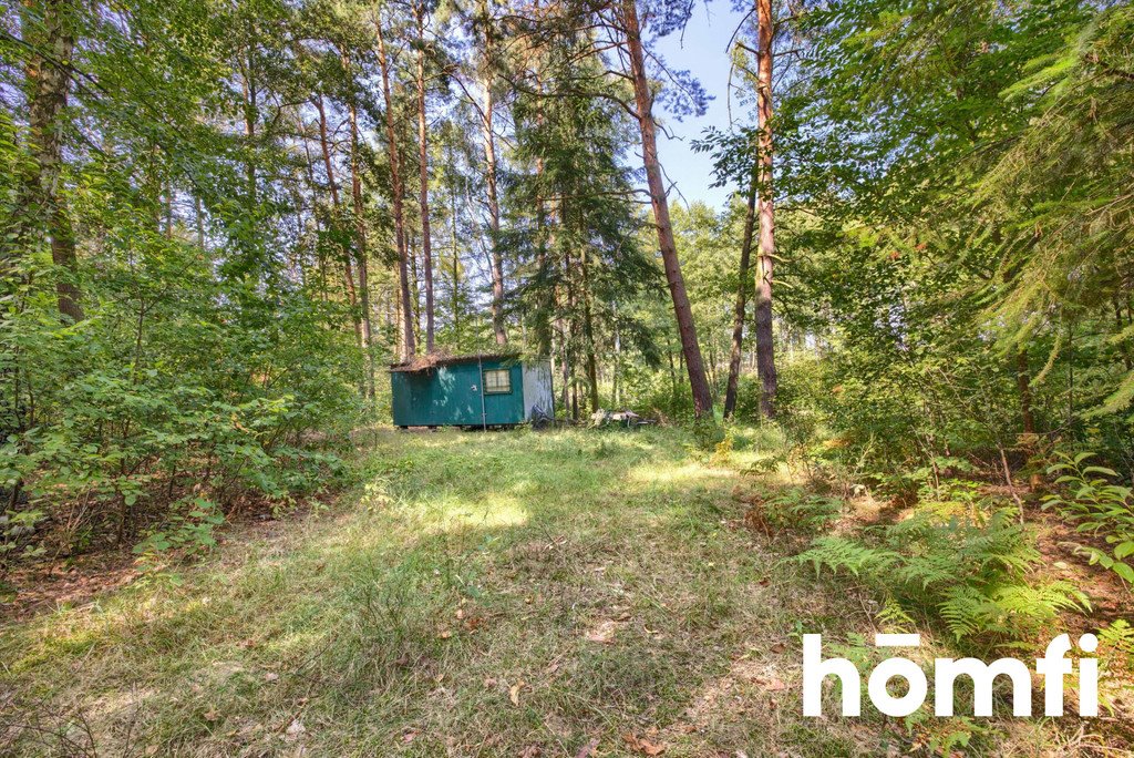 Działka 1240 m² pod lasem (Murzynowo Leśne) z mediami Murzynowo Leśne, Pod Lasem  1 240m2 Foto 1