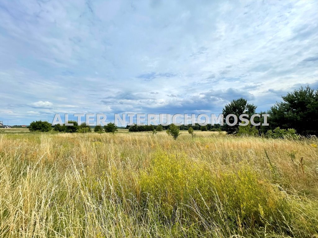 Działka inna na sprzedaż Dobrzyniewo Duże, Nowe Aleksandrowo  1 257m2 Foto 4