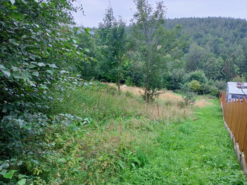 Działka budowlana na sprzedaż Karpacz, Zarzecze, Myśliwska  2 236m2 Foto 2