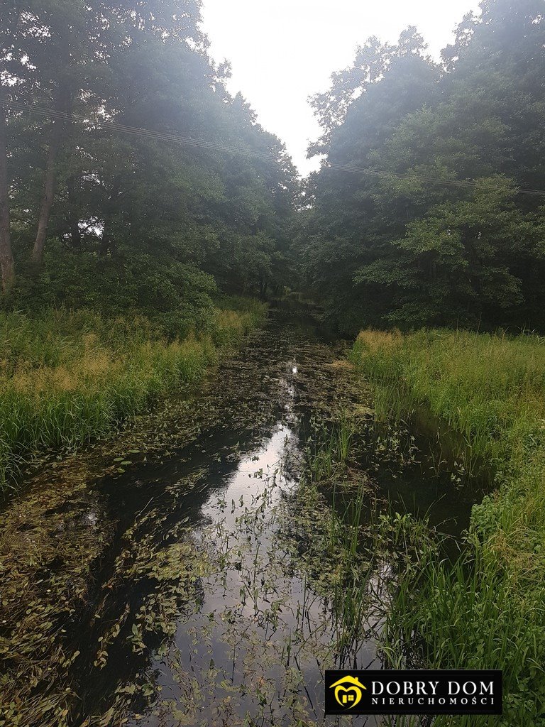 Działka inna na sprzedaż Połom  1 541m2 Foto 6