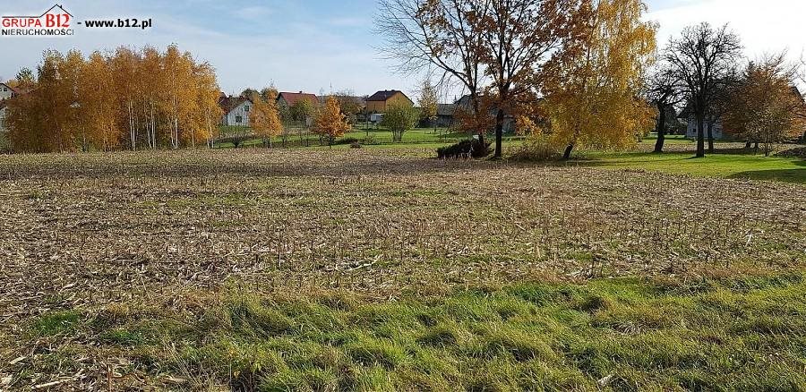 Działka budowlana na sprzedaż Koźmice Wielkie, Koźmice Wielkie, Koźmice Wielkie 1 200m2 Foto 1 Działka budowlana na sprzedaż Koźmice Wielkie, Koźmice Wielkie, Koźmice Wielkie 1 200m2 Foto 1