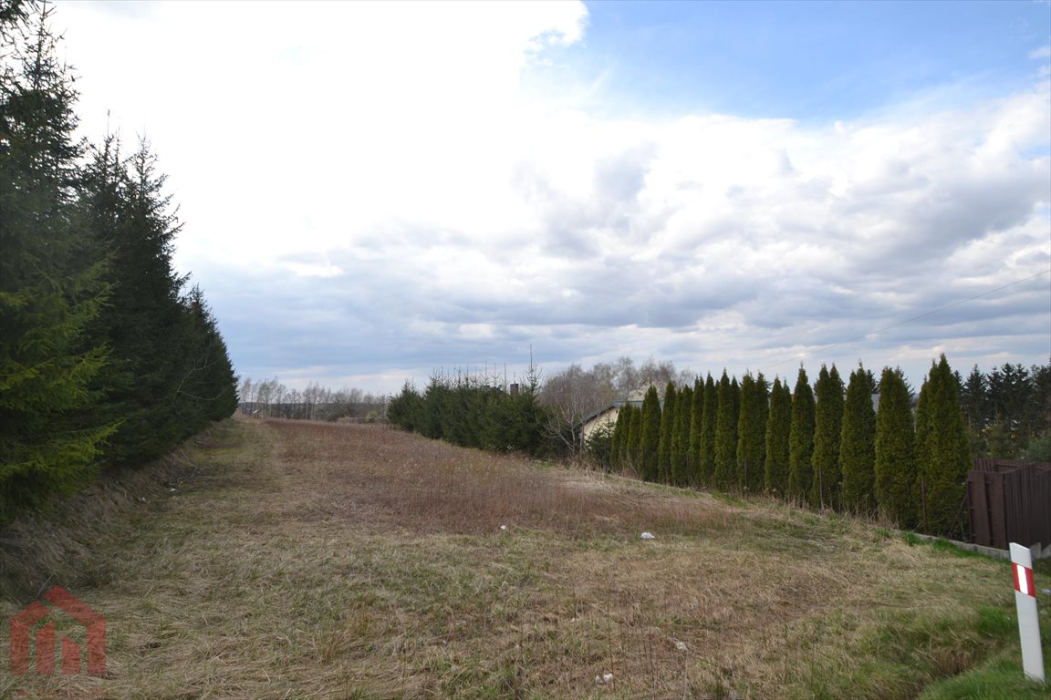 Działka 53 arów z pełnym uzbrojeniem, cicha okolica Dębica, Budzisz  5 300m2 Foto 1