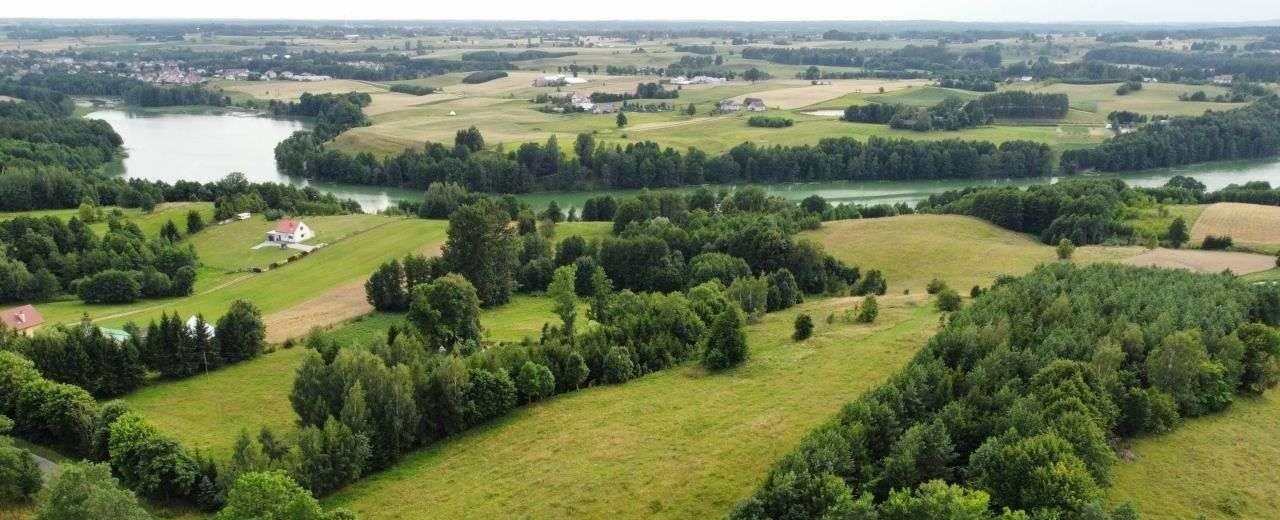 Działka rolna na sprzedaż Filipów  3 000m2 Foto 13