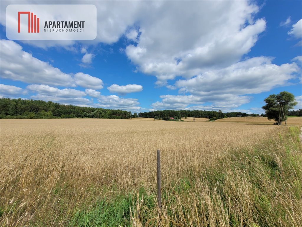 Działka gospodarstwo rolne na sprzedaż Skorzewo  6 000m2 Foto 1