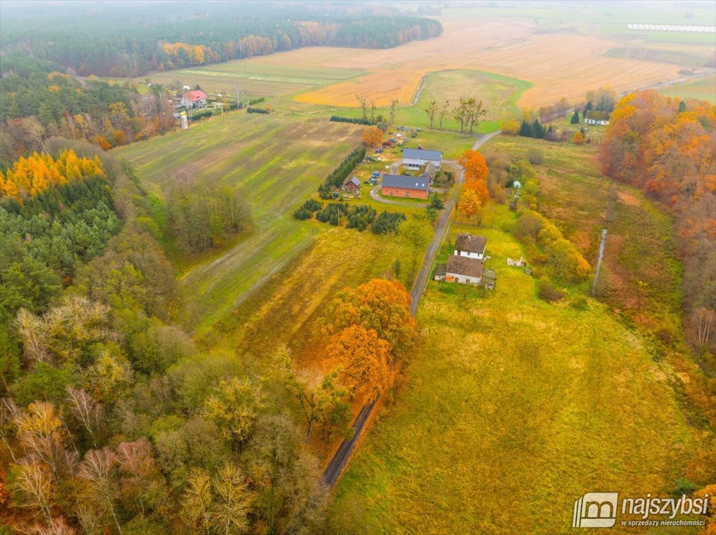 Działka budowlana na sprzedaż Węgorza, Wieś  1 500m2 Foto 13