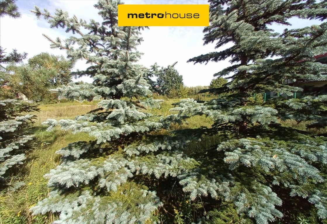 Działka 791 m² pod dom z mediami, warunki w Toruniu - polecam! Toruń  791m2 Foto 1