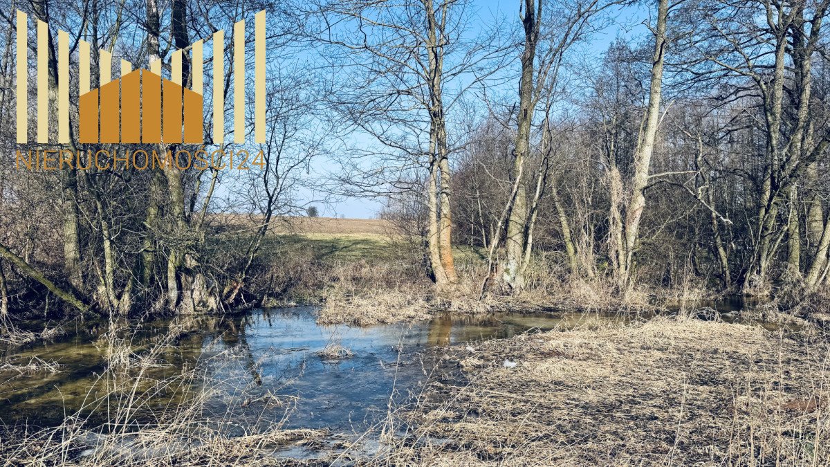 Działka 2598 m² z domem, mediami i dostępem do rzeczki. Dobre  2 598m2 Foto 1