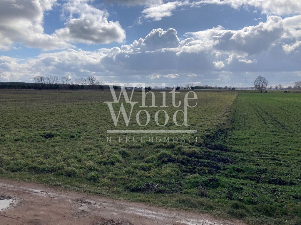 Działka pod osiedle 40 domów z infrastrukturą i WZ Osiedle Poznańskie  55 400m2 Foto 1