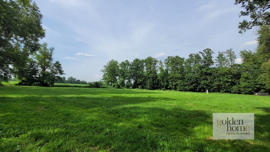 Działka budowlana na sprzedaż Kąkolewo, Albertowsko  5 000m2 Foto 11