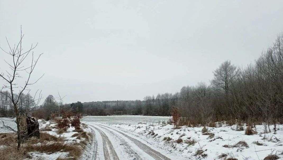 Działka rolna na sprzedaż Sarnowo  1 026 700m2 Foto 4