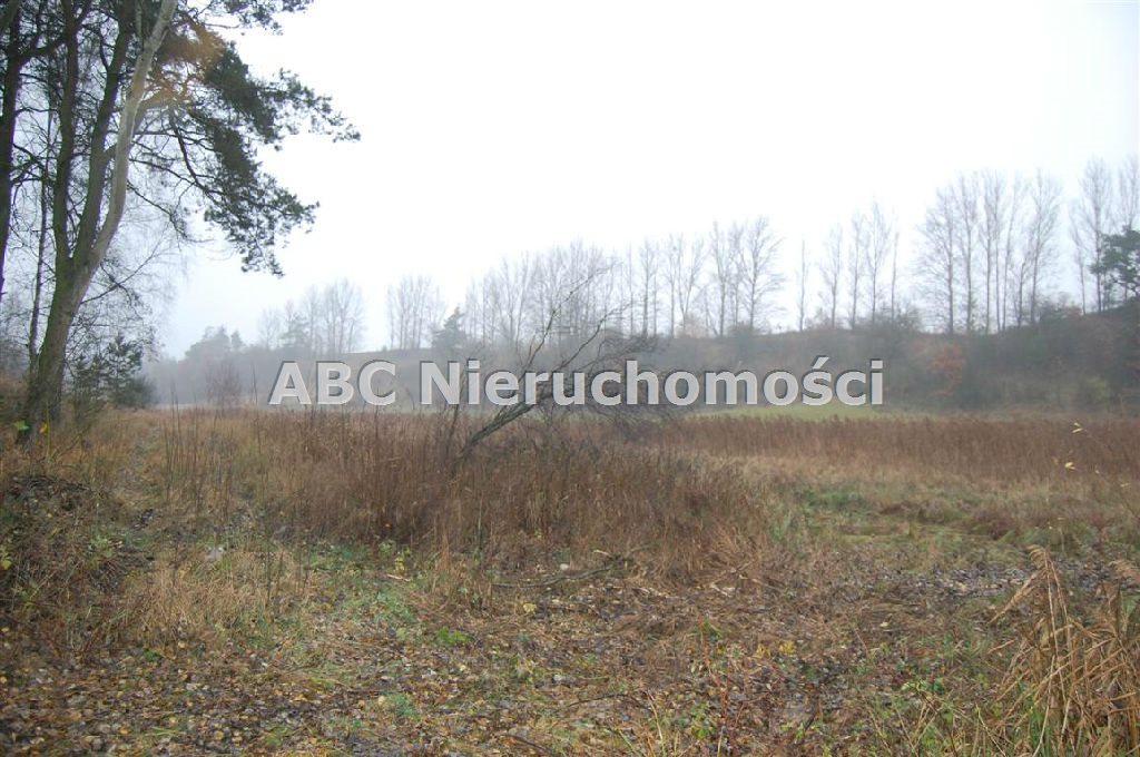 Działka leśna na sprzedaż Górzna  4 200m2 Foto 4