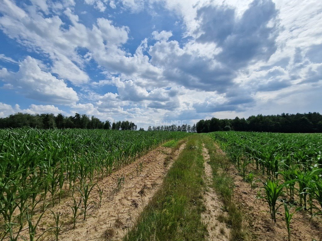 Działka rolna na sprzedaż Stelmachowo  39 700m2 Foto 9