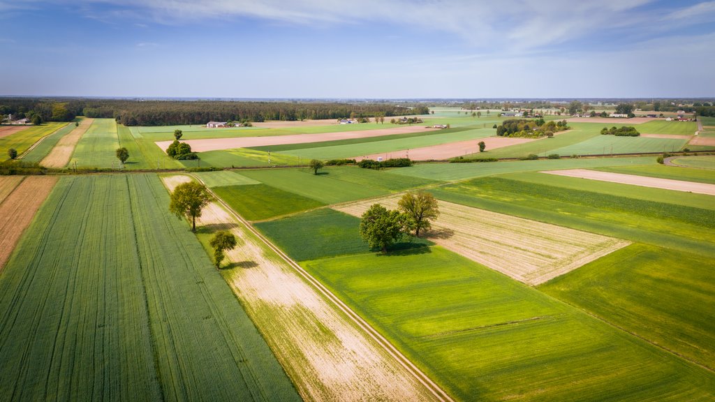 Działka inna na sprzedaż Uniejów  2 700m2 Foto 13