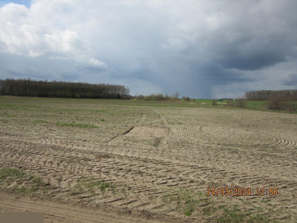 Działka inwestycyjna na sprzedaż Wziąchowo Małe  130 892m2 Foto 15