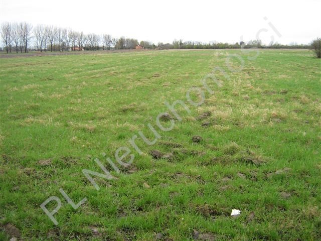 Działka pod zabudowę 22 000 m2, asfalt dojazd, cicha okolica Żaby  22 000m2 Foto 1