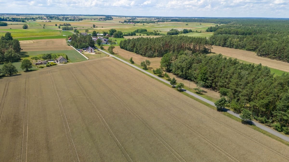 Działka budowlana na sprzedaż Zborowskie, Dolna  1 400m2 Foto 4