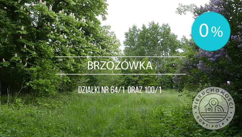 Unikalna działka 18 500 m² z drzewostanem w Brzozówce Brzozówka  18 500m2 Foto 1
