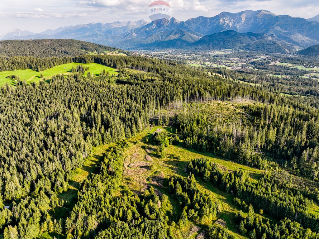 Działka rolna na sprzedaż Dzianisz  6 560m2 Foto 10