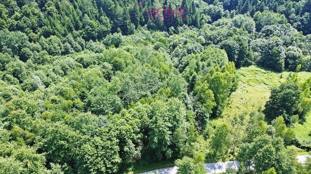 Działka leśna na sprzedaż Ropczyce, Borki Chechelskie  2 866m2 Foto 2
