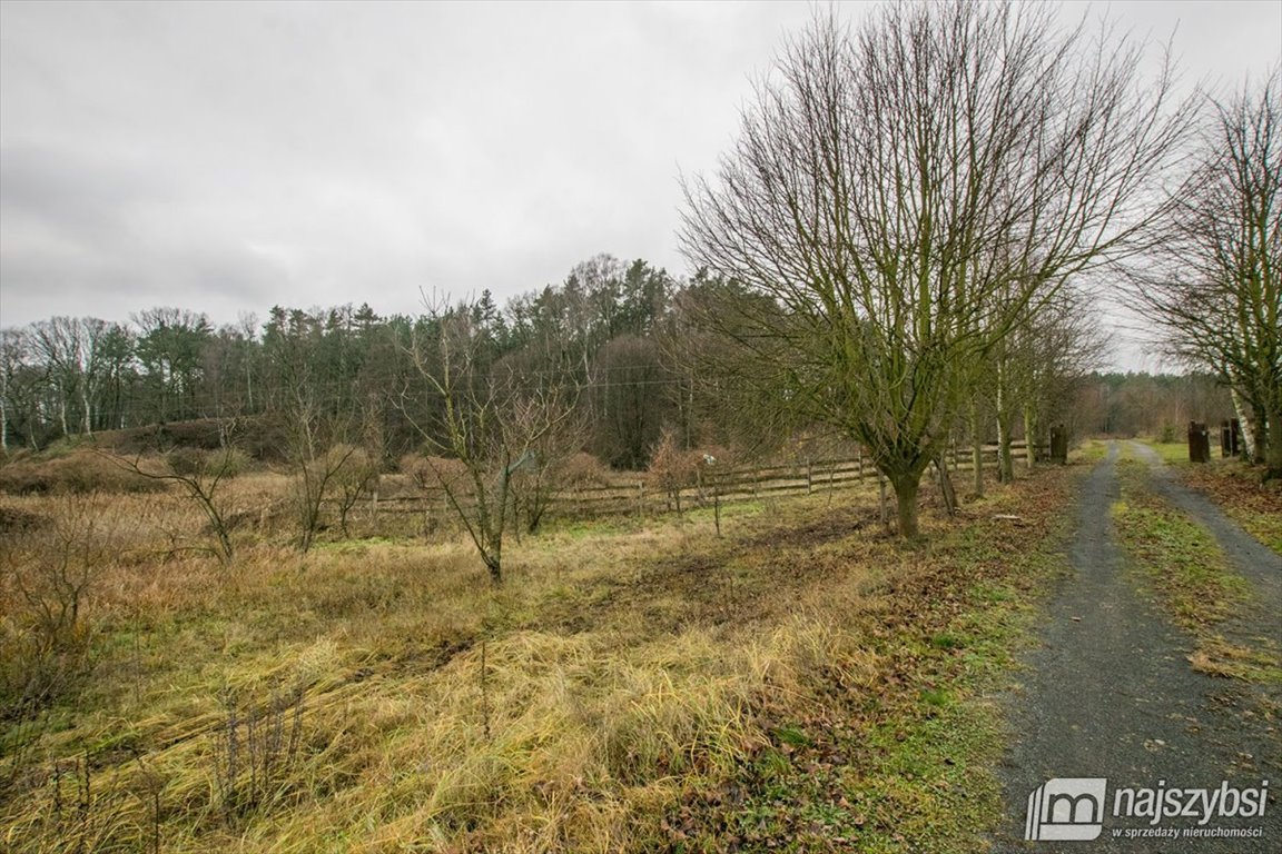 Lokal użytkowy na sprzedaż Bledzew  440m2 Foto 25