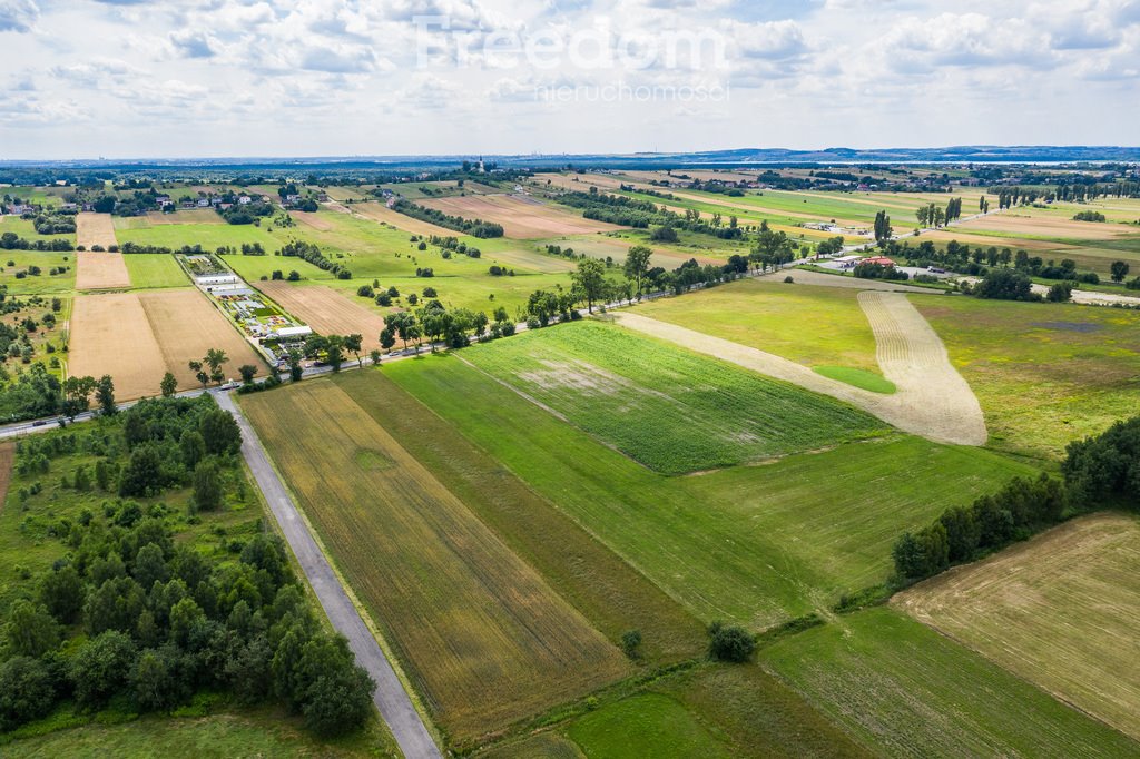 Działka budowlana na sprzedaż Celiny, Męczenników  1 725m2 Foto 4