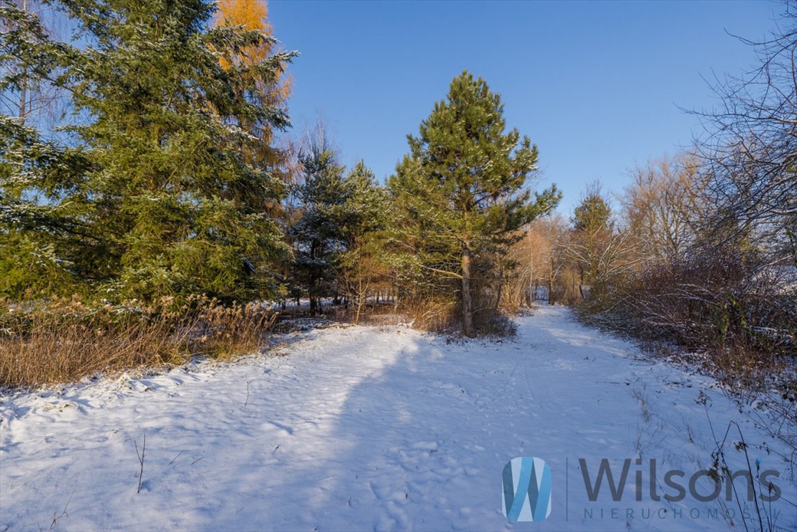 Działka budowlana na sprzedaż Łomianki, Wiślana  4 732m2 Foto 12