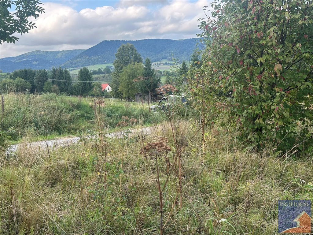 Działka budowlana na sprzedaż Męcina  1 100m2 Foto 1