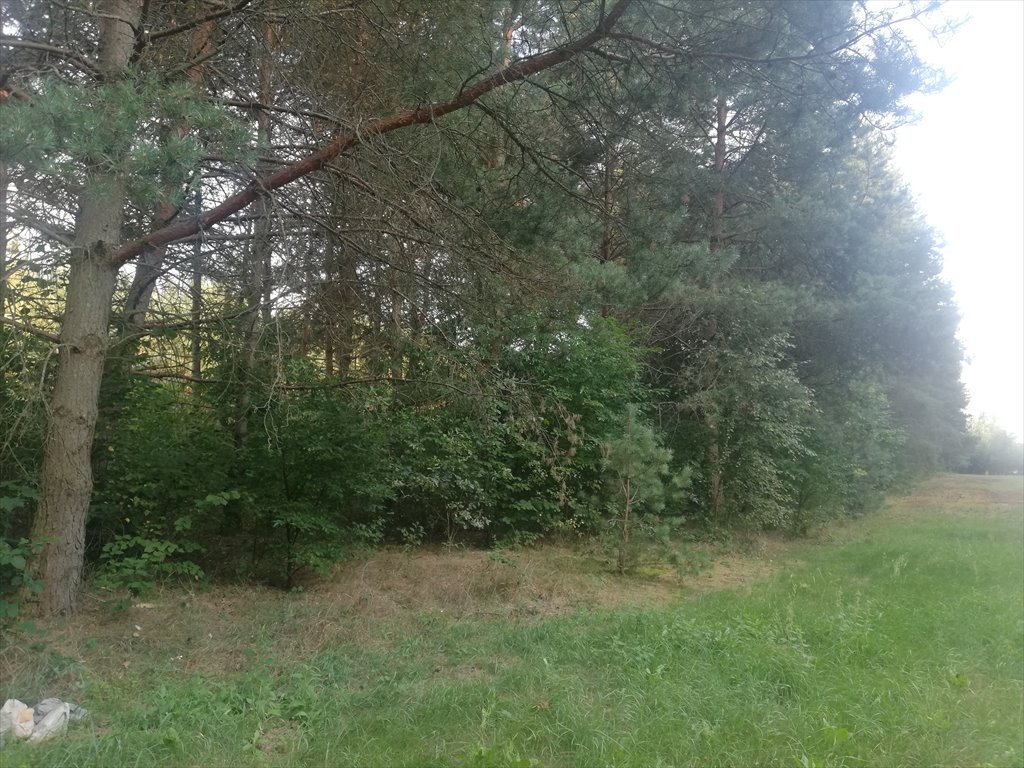 Działka bud.-rol. 3960 m² w Wygodzie, las, media, dojazd asfalt Gidle, Wygoda, Wygoda  3 960m2 Foto 1