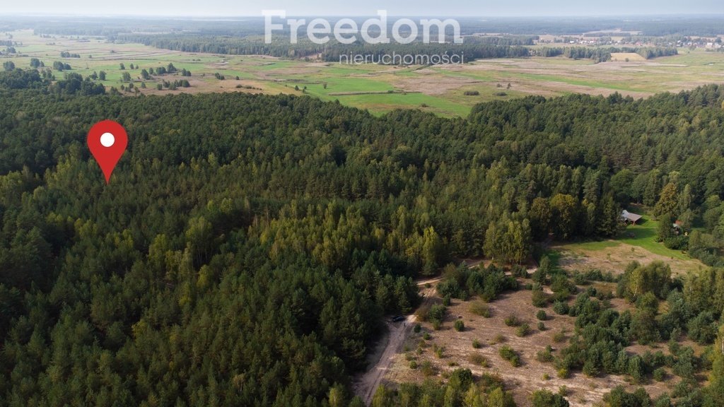 Działka leśna na sprzedaż Koźliki  12 401m2 Foto 2