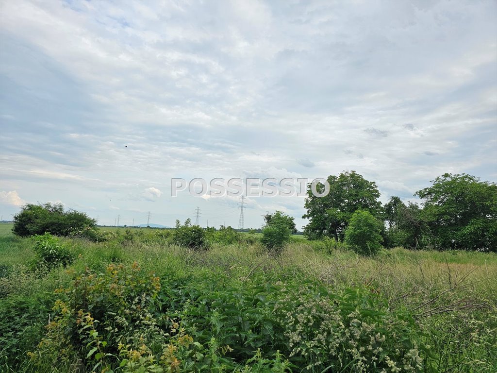 Działka 2359 m2 pod zabudowę jednorodzinną i usługową Dobromierz  2 359m2 Foto 1