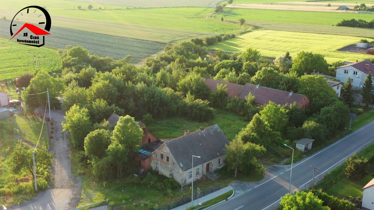 Działka budowlana na sprzedaż Stodólno  7 500m2 Foto 4