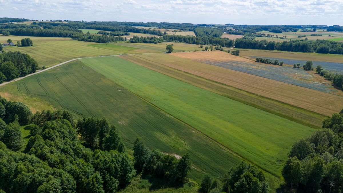 Działka budowlana na sprzedaż Woźniki, Czarny Las, Czarny Las  29 522m2 Foto 7